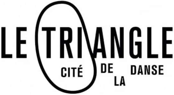 logo-le-triangle