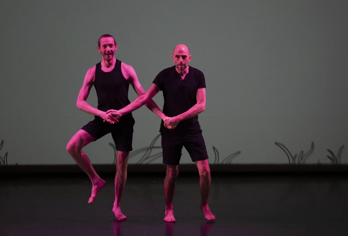 danse_des_canards